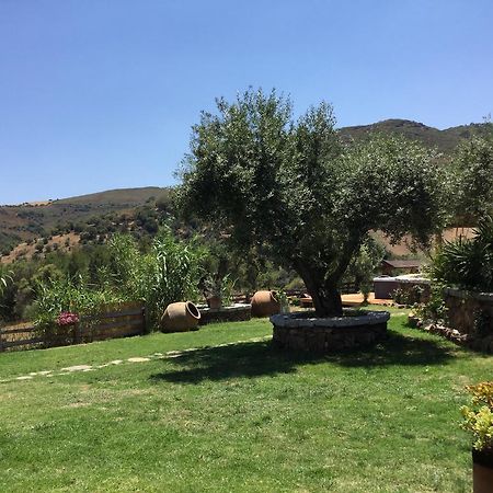 Il Giardino Di Daniela Bed & Breakfast San Teodoro  Exterior photo